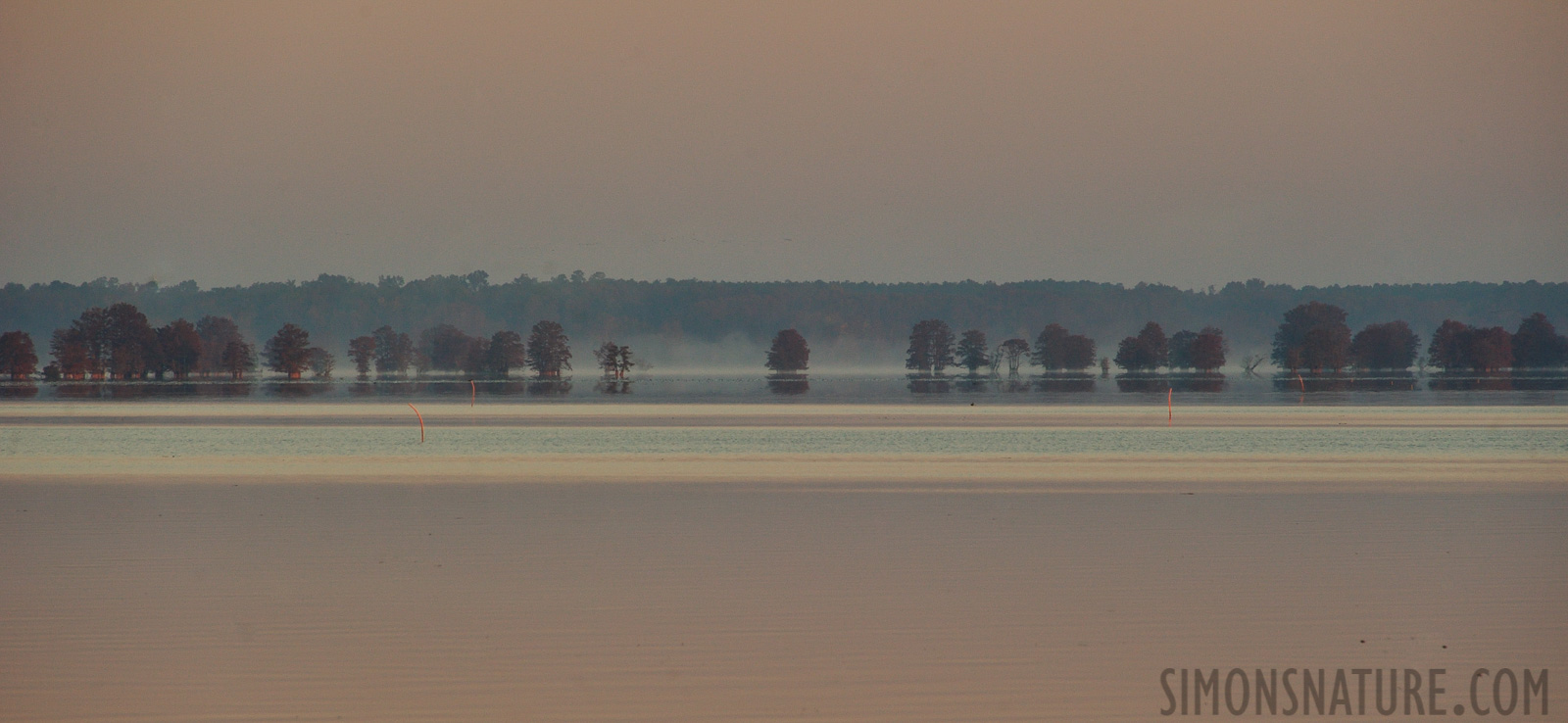 South Carolina [300 mm, 1/400 sec at f / 8.0, ISO 800]